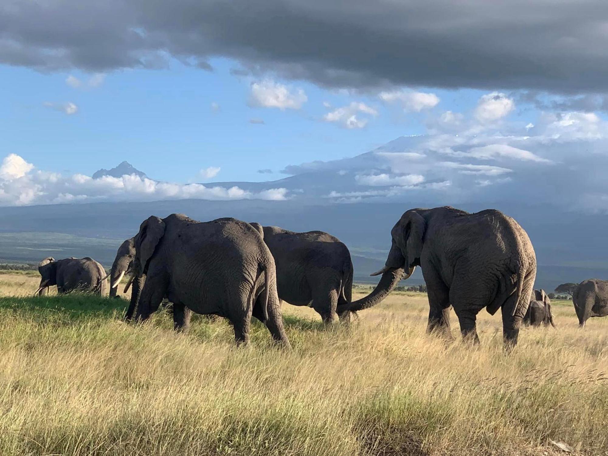 Amboseli Discovery Camp Exterior foto