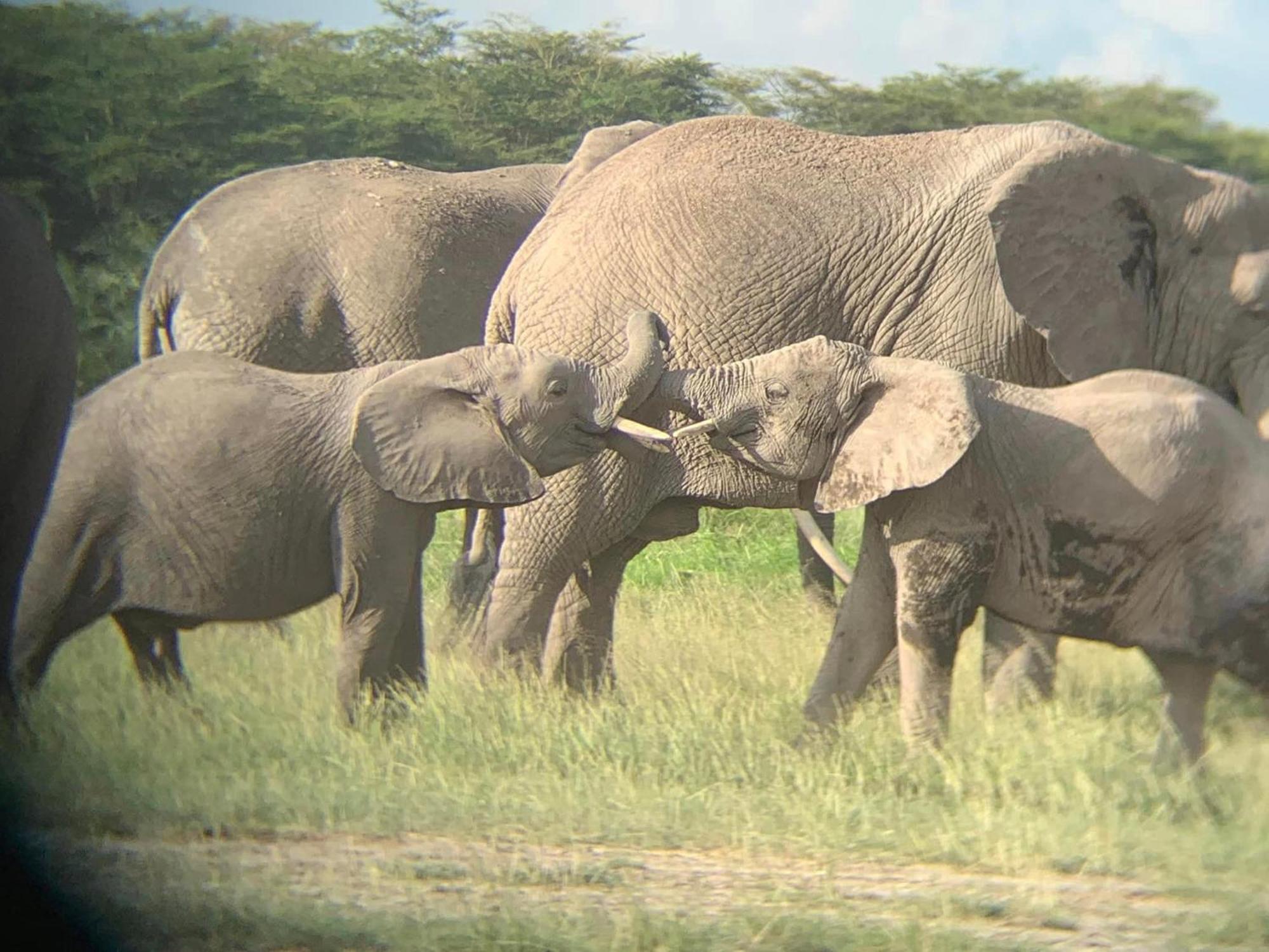 Amboseli Discovery Camp Exterior foto