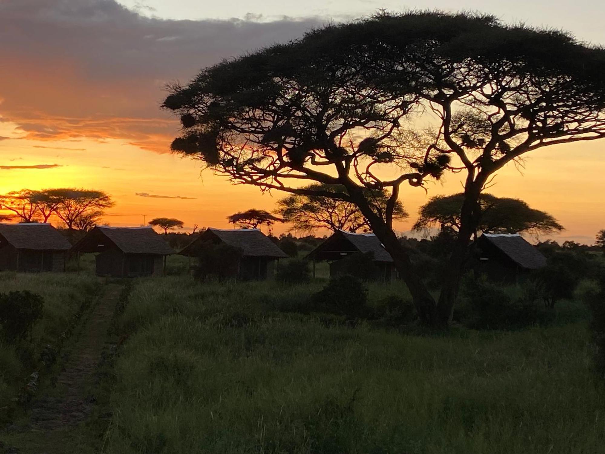 Amboseli Discovery Camp Exterior foto