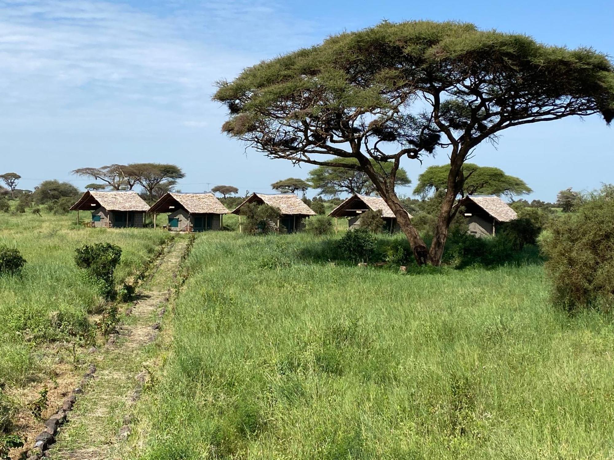 Amboseli Discovery Camp Exterior foto